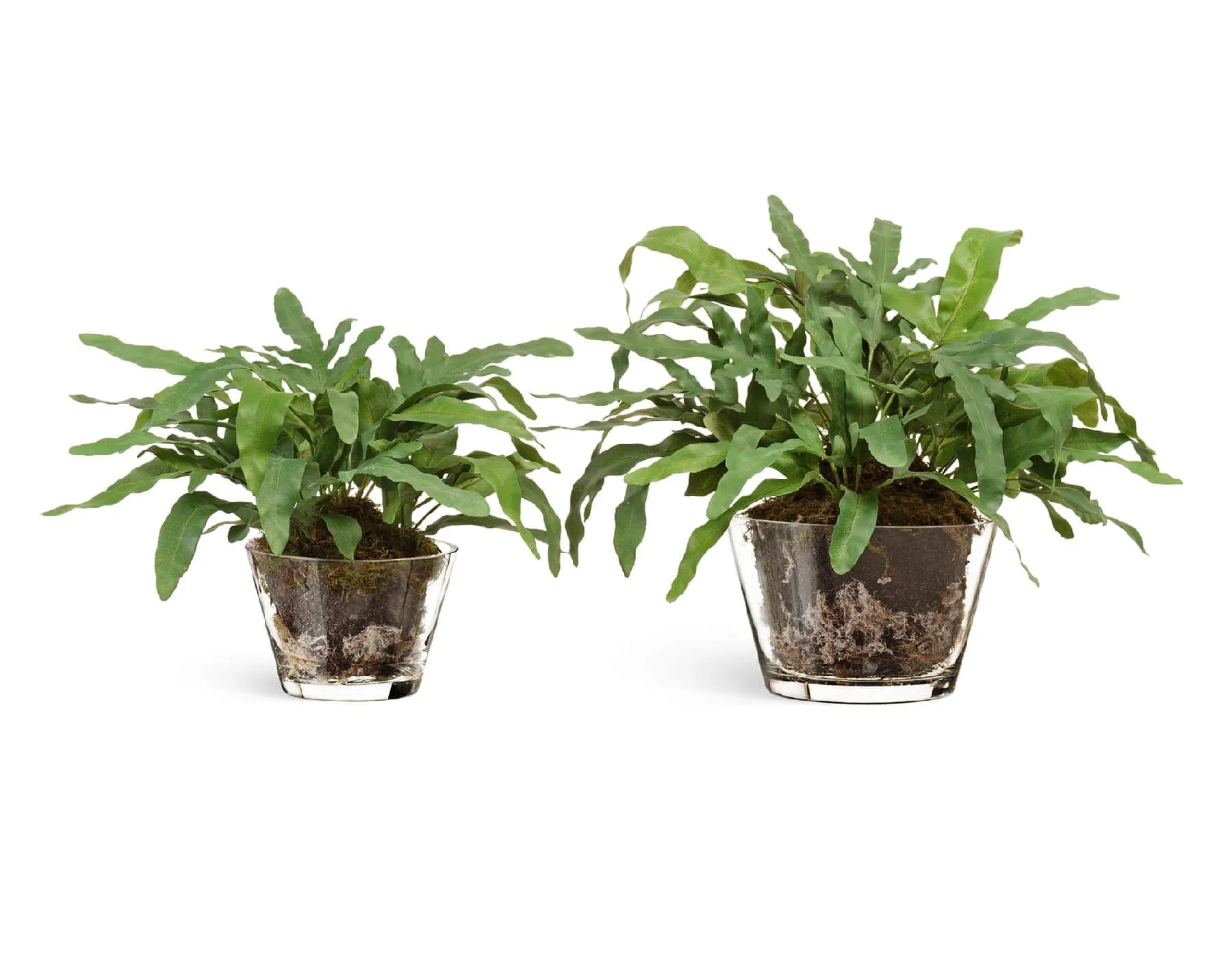 Композиция