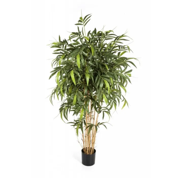 Новый Бамбук натуральный