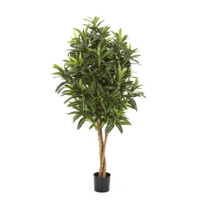 Кротон Голдфингер