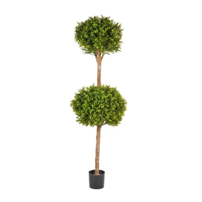 Уличный Самшит шар Двойной