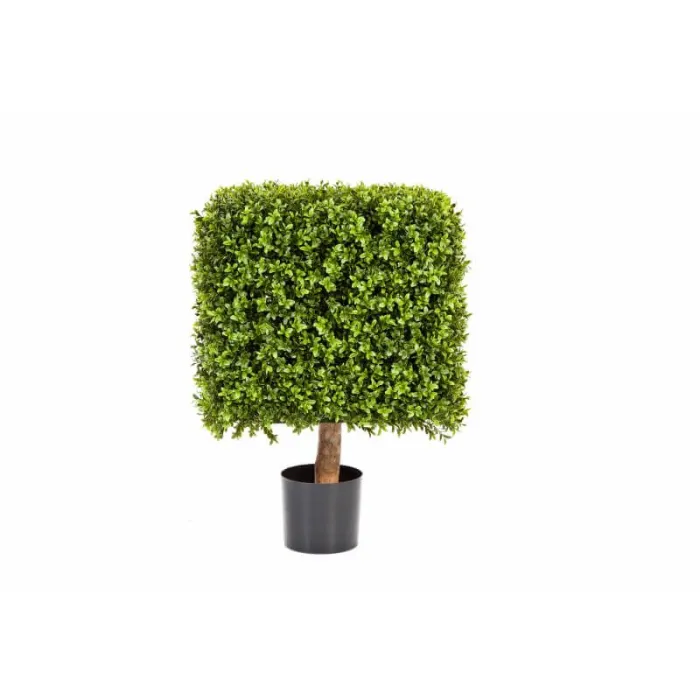 Уличный Самшит квадрат  на каркасе