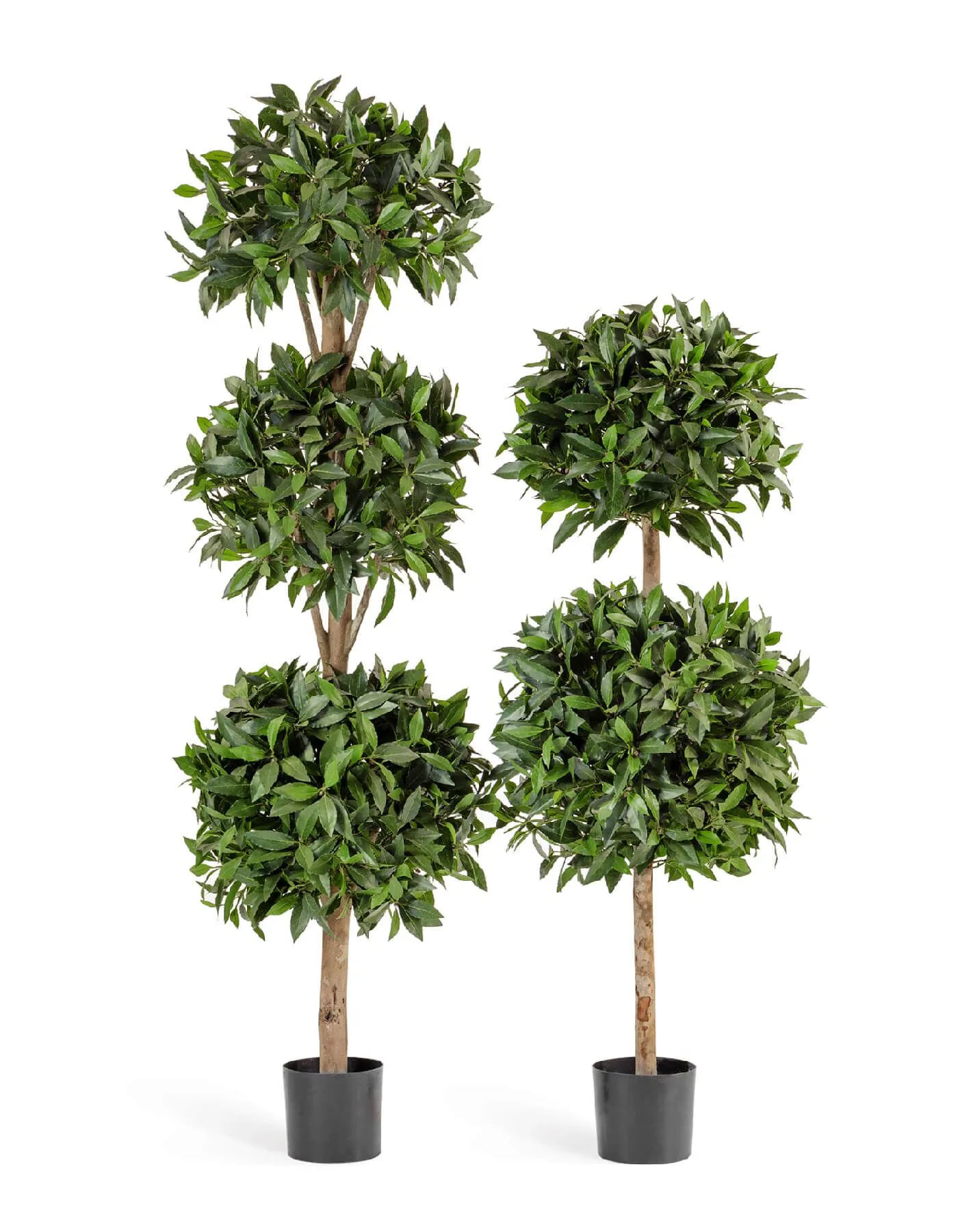 Шар Лавр тройной