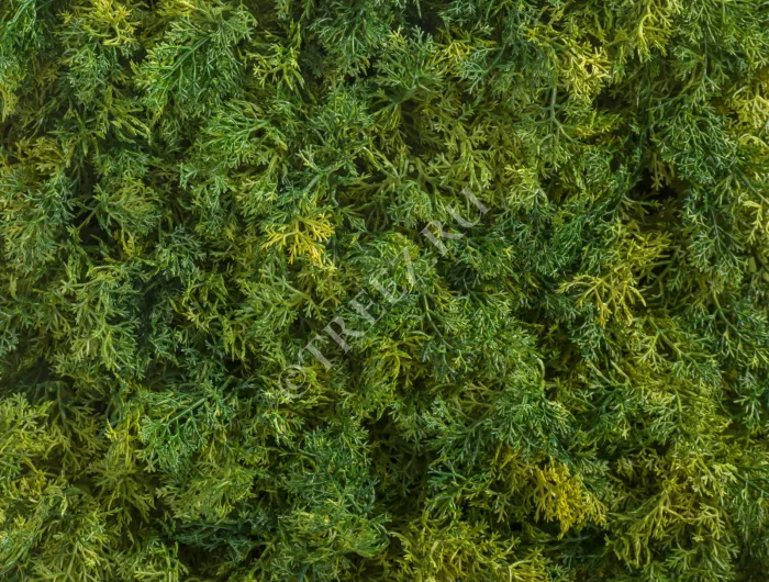 Мох Ягель микс (коврик) зелёный