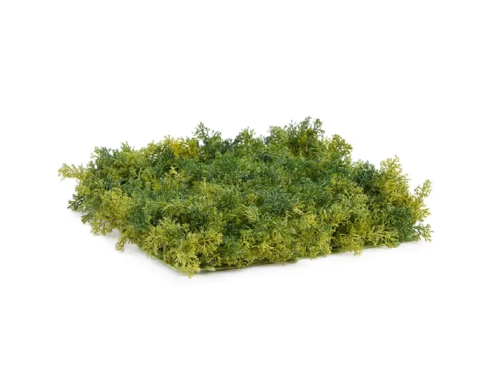 Коврик зелёный микс Мох Ягель