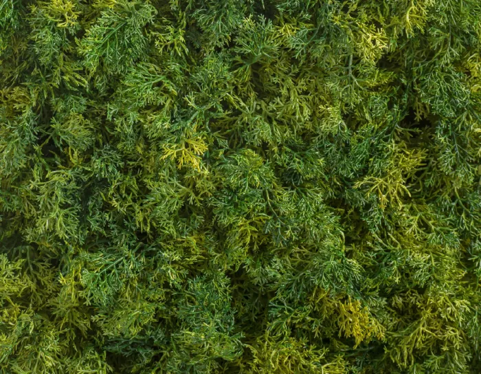 Коврик зелёный микс Мох Ягель