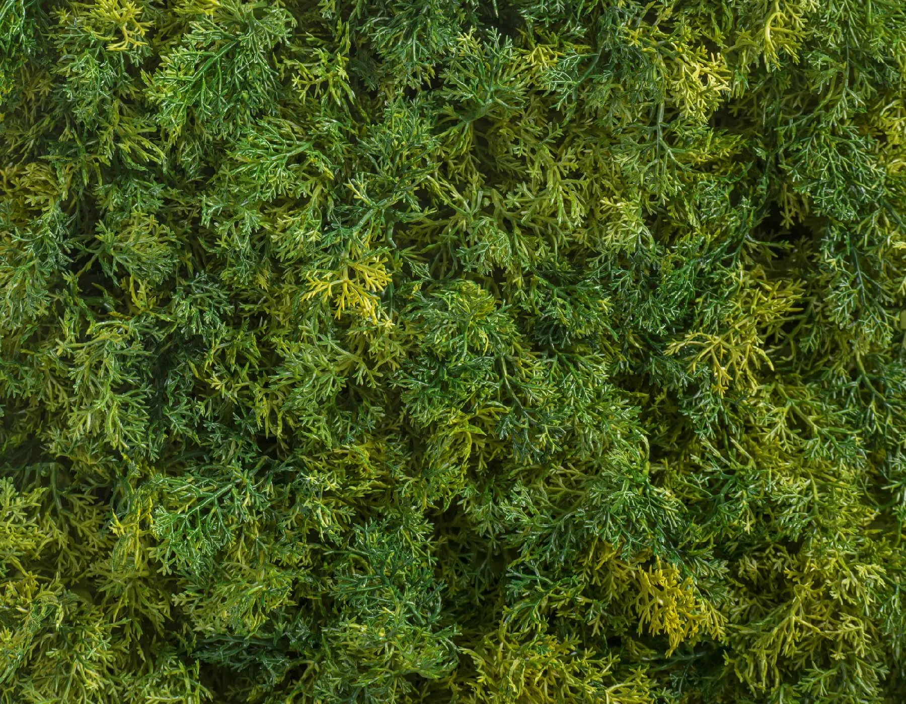 Коврик зелёный микс Мох Ягель