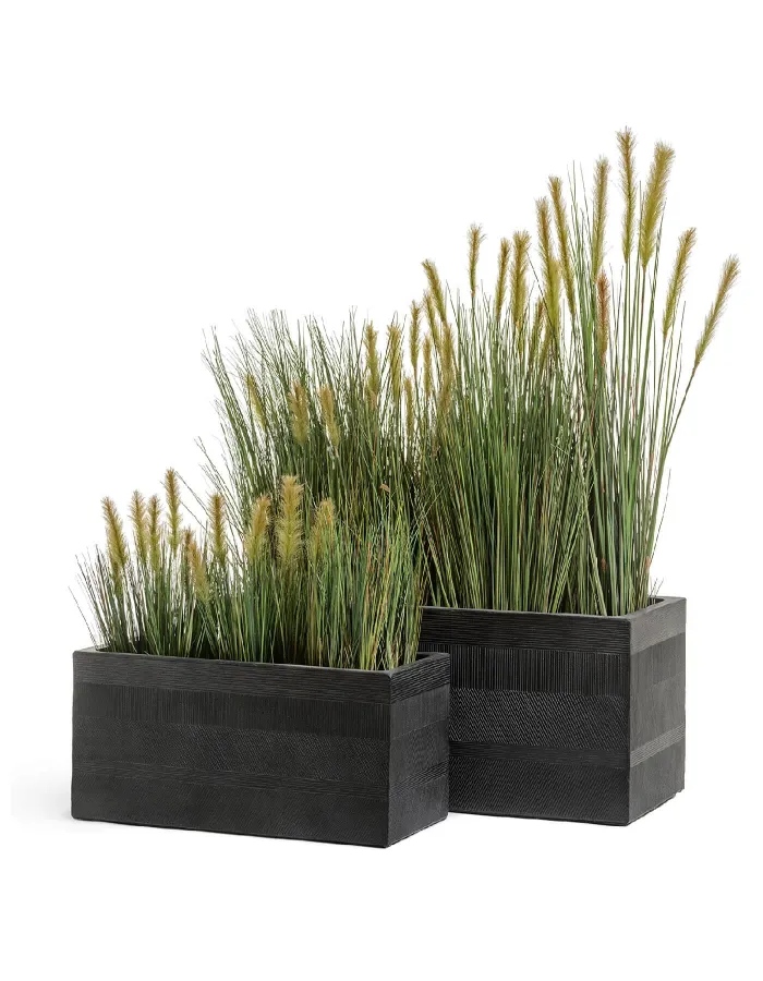 Куст Трава с зелёными султанами Осока Элеганс