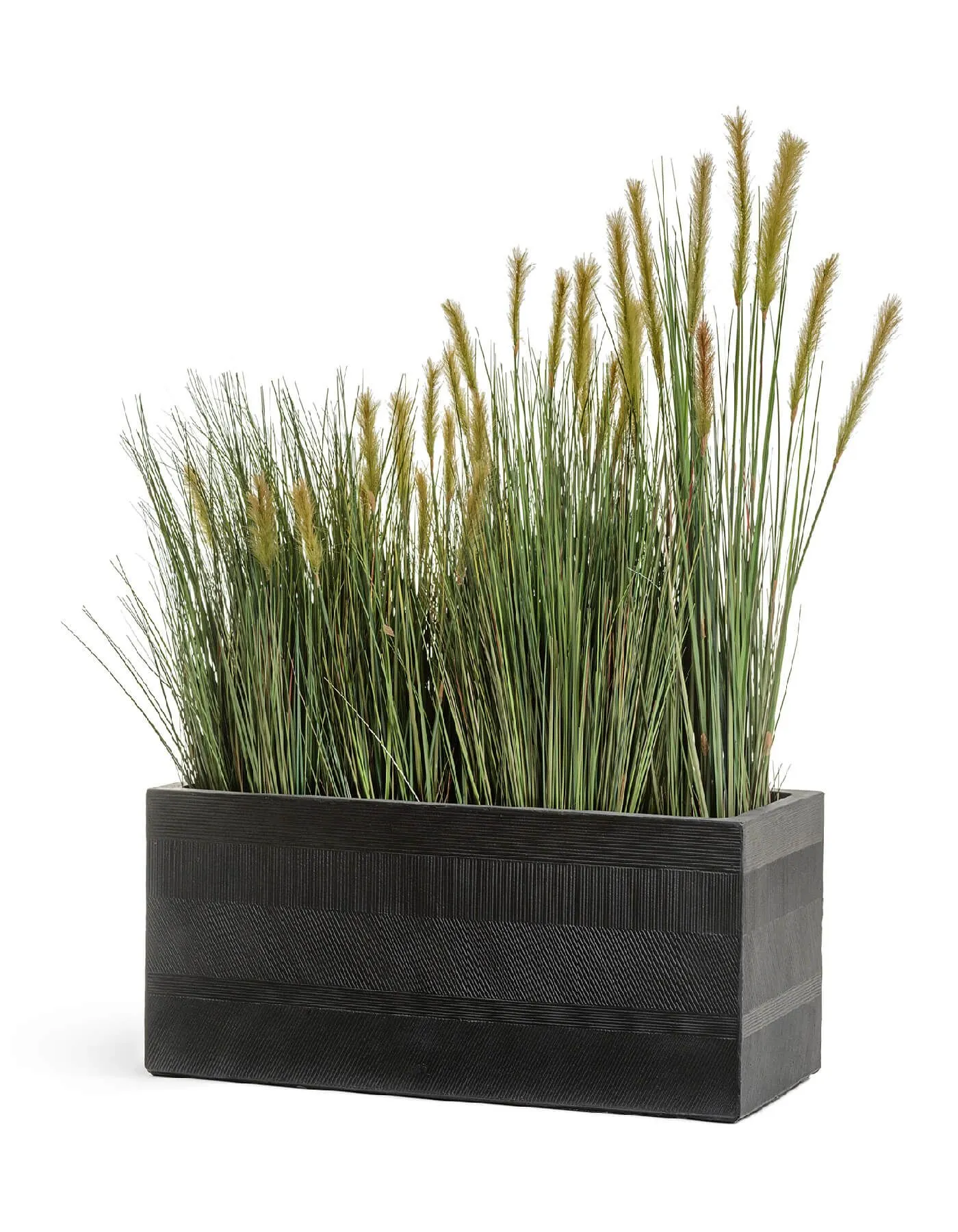 Куст Трава с зелёными султанами Осока Элеганс