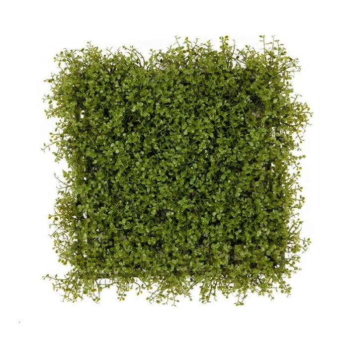 Рясковый Мох коврик газон