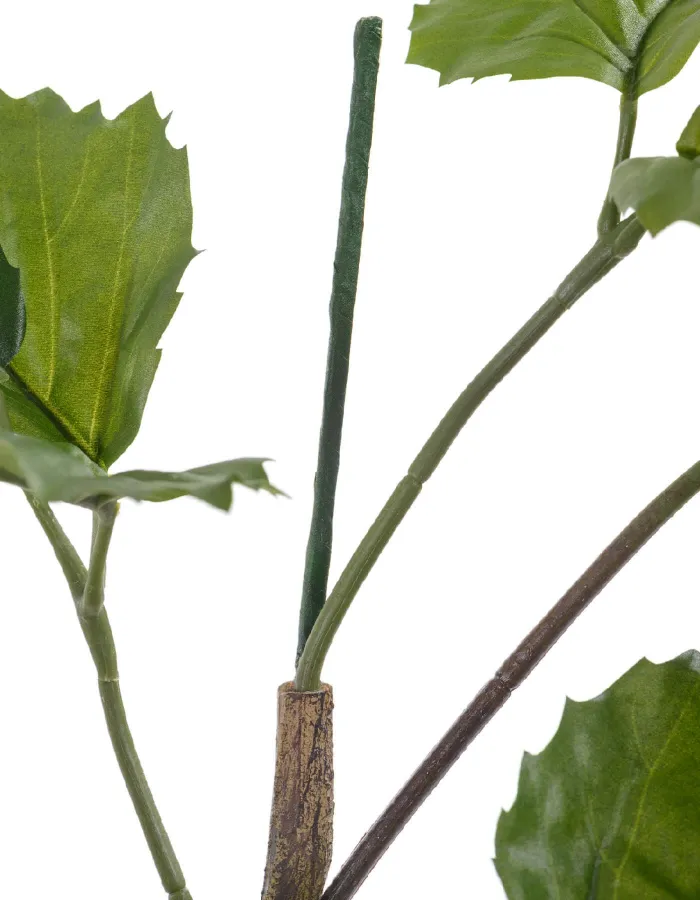 Ветвь интерьерная Тетрастигма де Люкс