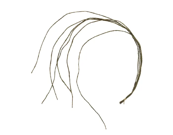 Декоративные ветки Лоза