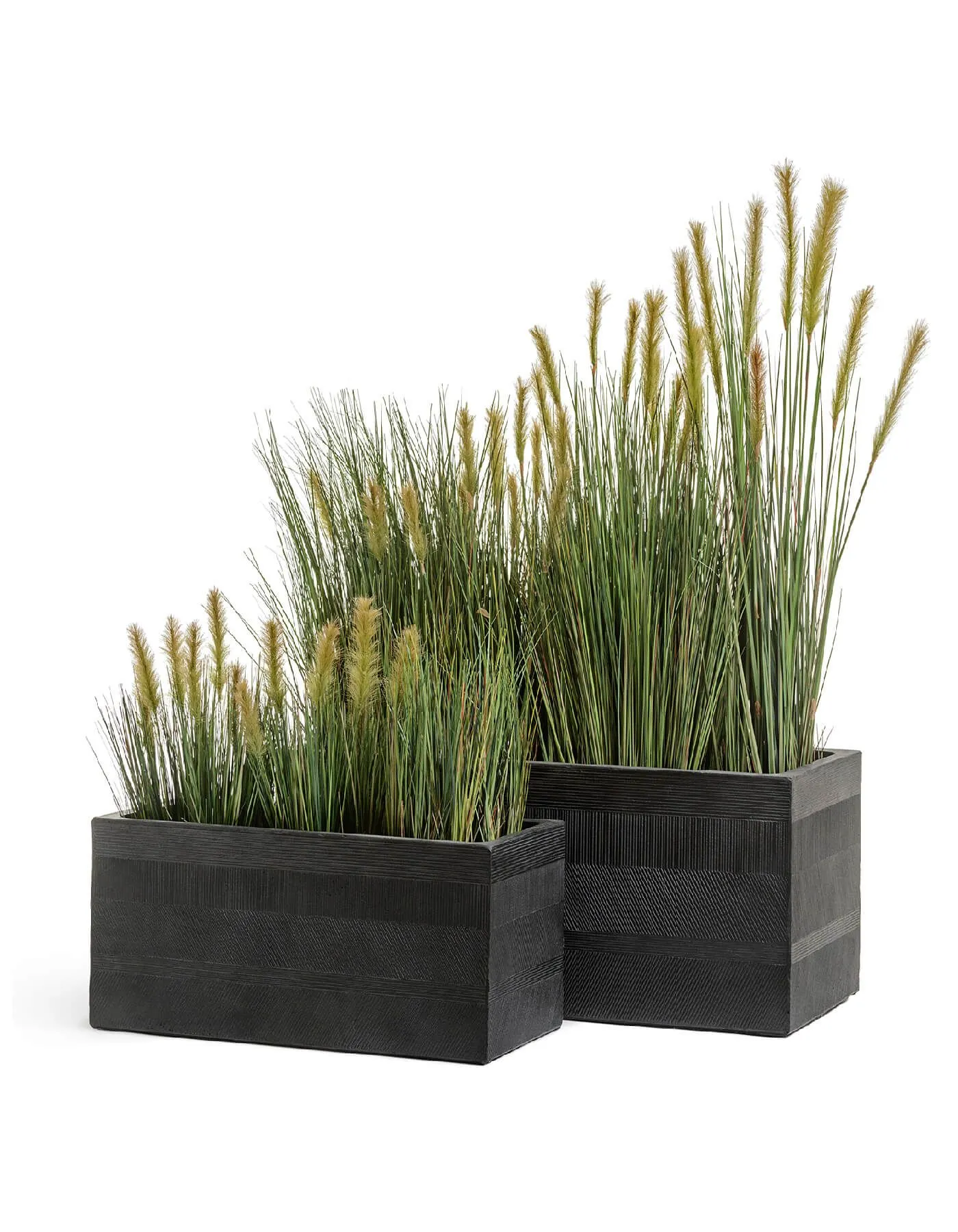 Кашпо Graphics -  TREEZ ERGO - Чёрный графит - Низкий прямоугольник