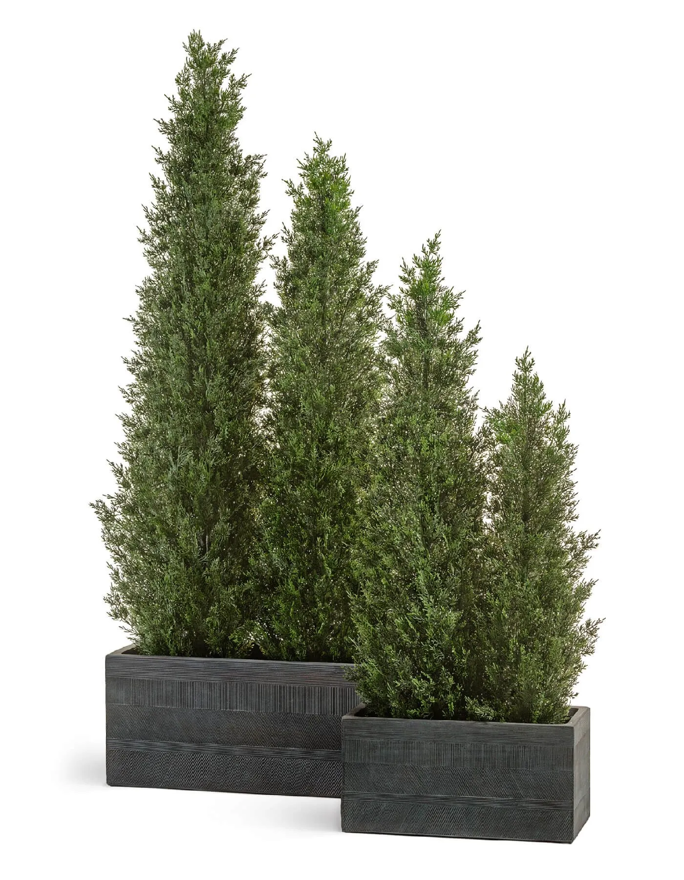 Кашпо Graphics - TREEZ ERGO - Окись с медной патиной - Низкий прямоугольник