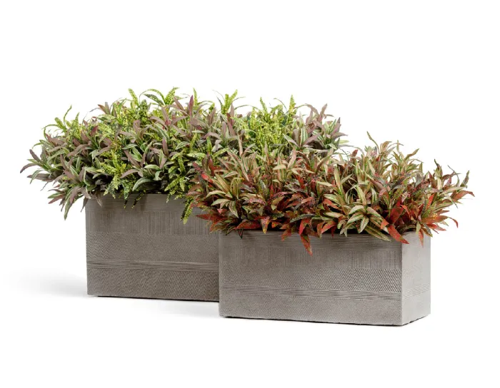 Кашпо Graphics - TREEZ ERGO - Капучино - Низкий прямоугольник