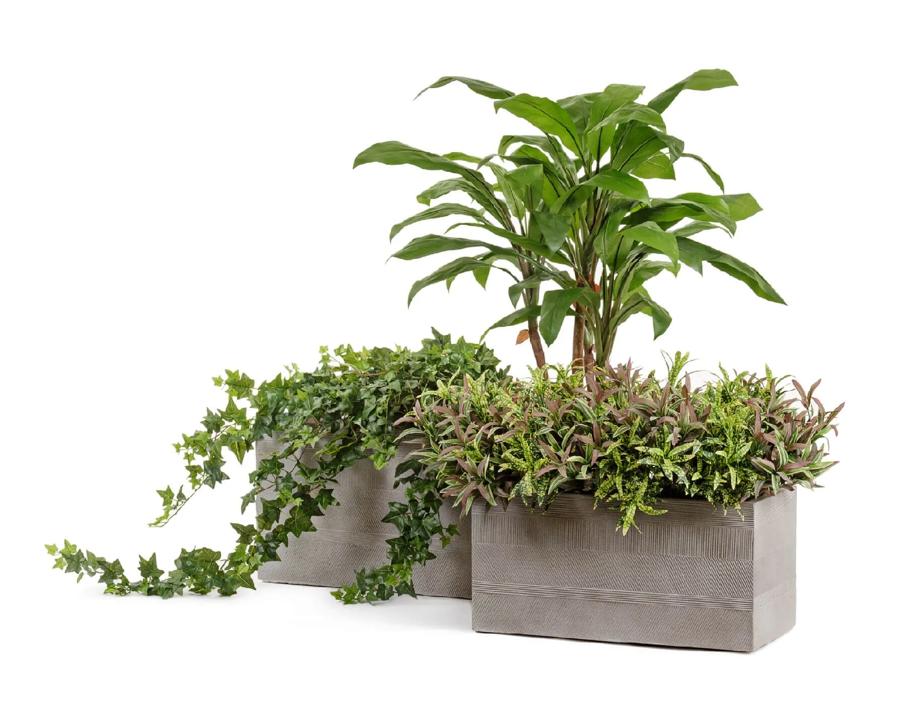 Кашпо Graphics - TREEZ ERGO - Капучино - Низкий прямоугольник