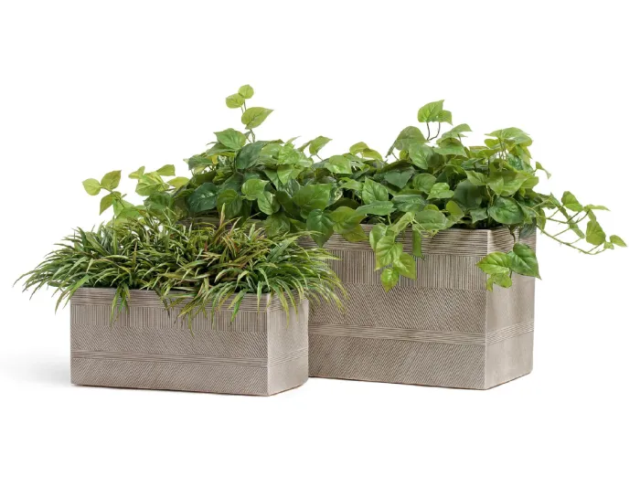 Кашпо Graphics - TREEZ ERGO - Капучино - Низкий прямоугольник