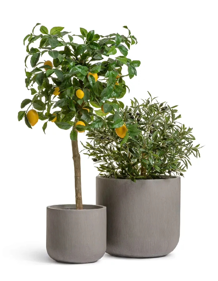 Кашпо Just - TREEZ ERGO - Мокко - Цилиндр