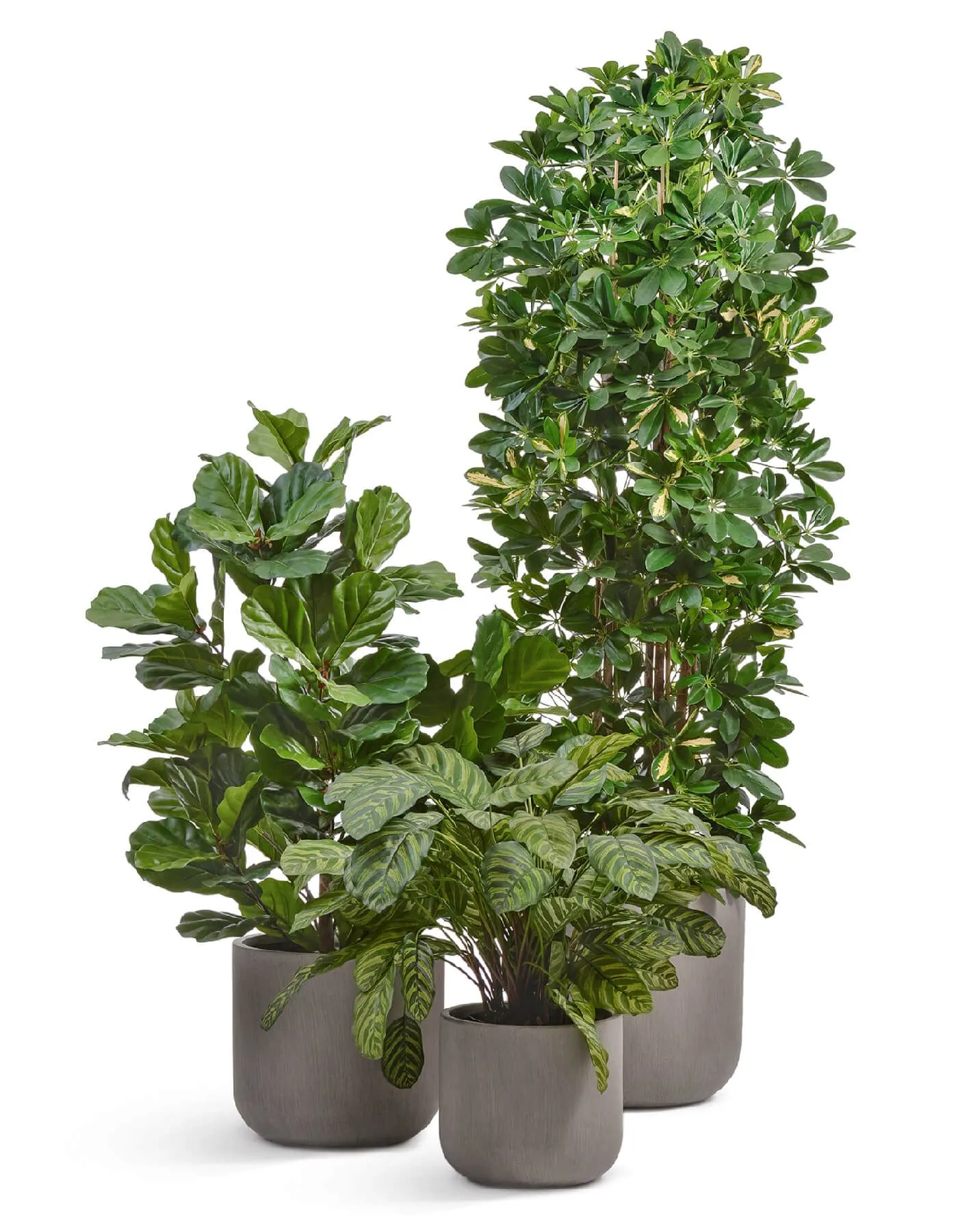 Кашпо Just - TREEZ ERGO - Мокко - Цилиндр