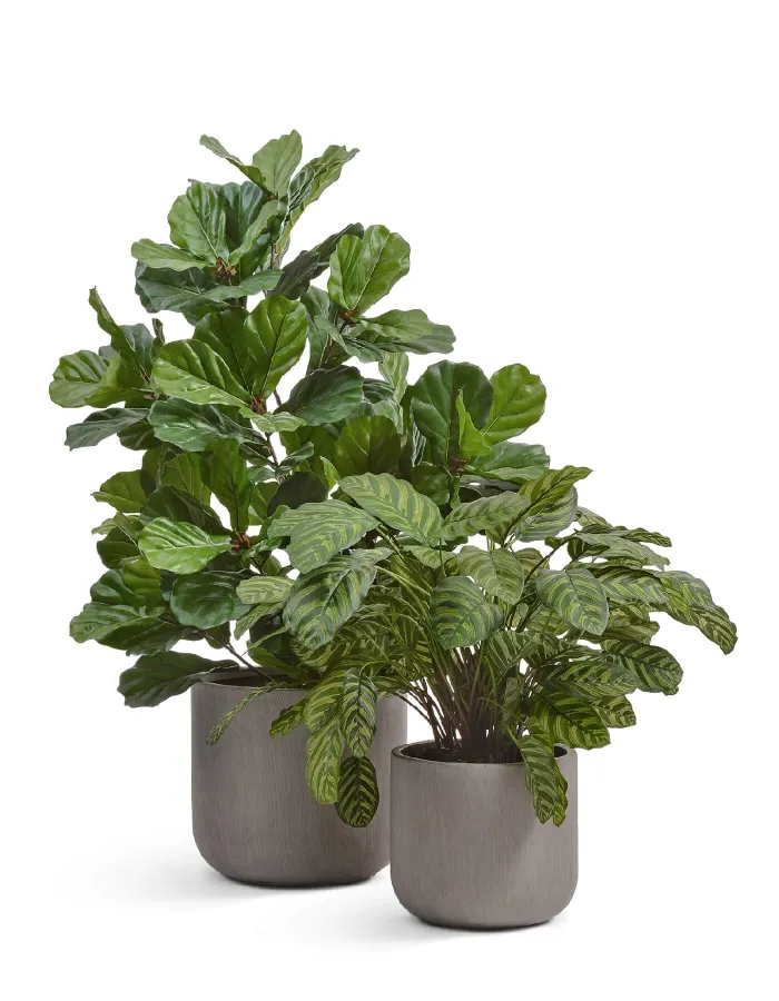 Кашпо Just - TREEZ ERGO - Мокко - Цилиндр