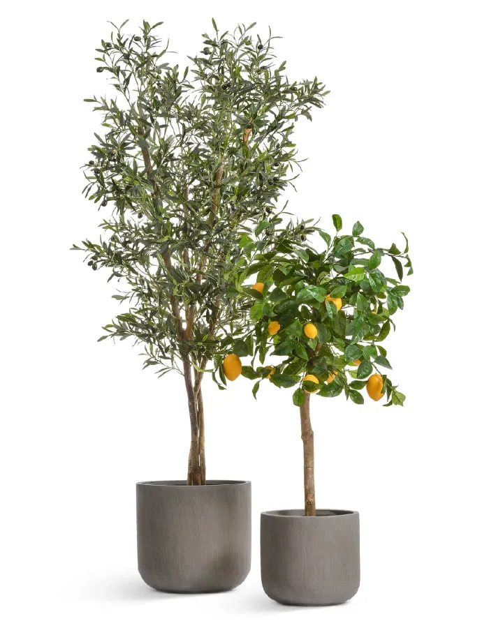 Кашпо Just - TREEZ ERGO - Мокко - Цилиндр