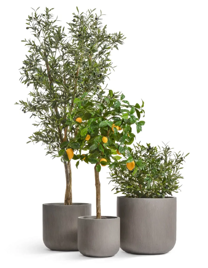 Кашпо Just - TREEZ ERGO - Мокко - Цилиндр