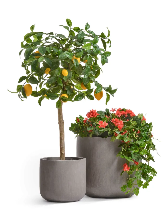 Кашпо Just - TREEZ ERGO - Мокко - Цилиндр