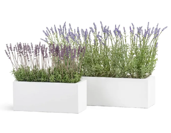 Кашпо Just - TREEZ ERGO - Белый камень - Узкий низкий прямоугольник