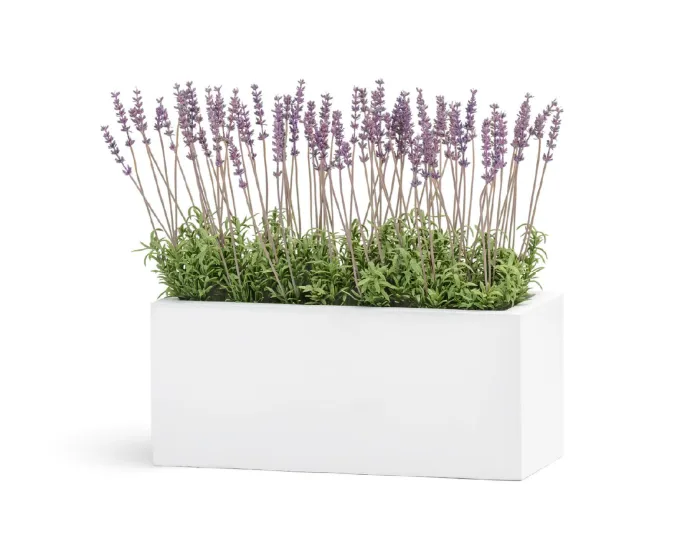 Кашпо Just - TREEZ ERGO - Белый камень - Узкий низкий прямоугольник