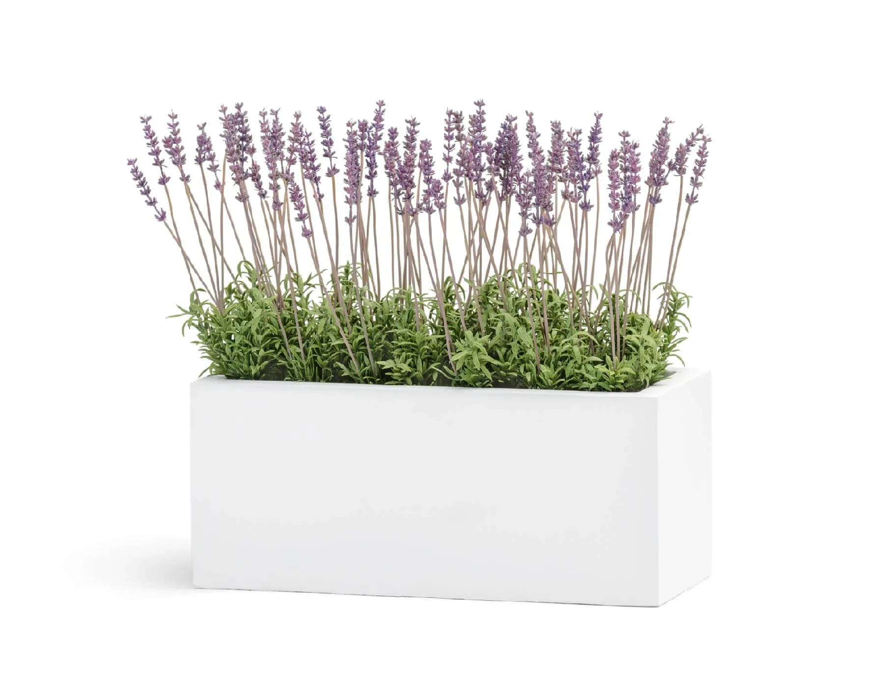 Кашпо Just - TREEZ ERGO - Белый камень - Узкий низкий прямоугольник