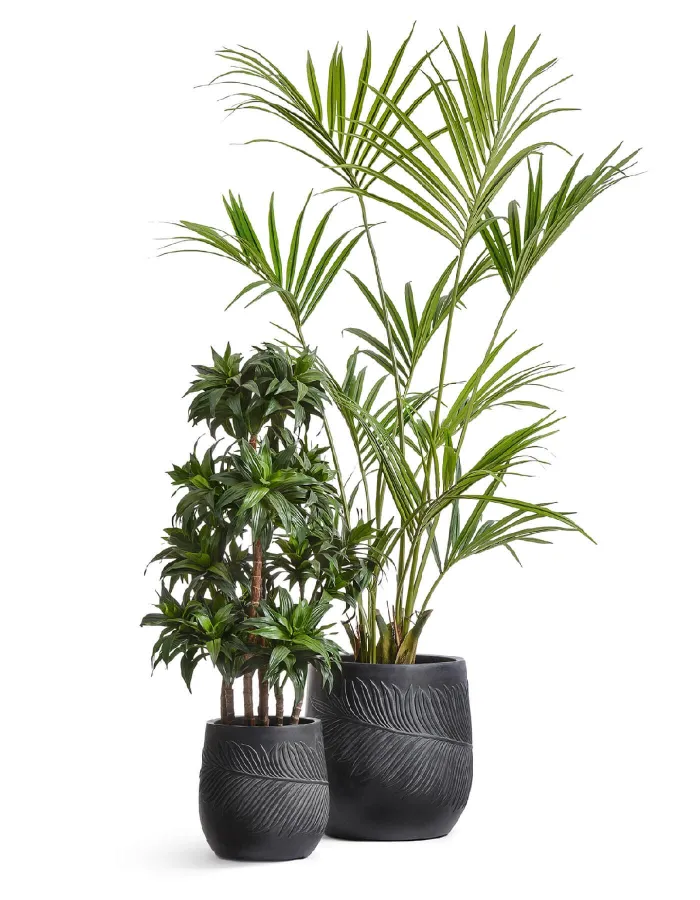 Кашпо Nature -TREEZ ERGO - Антрацит -  Чаша