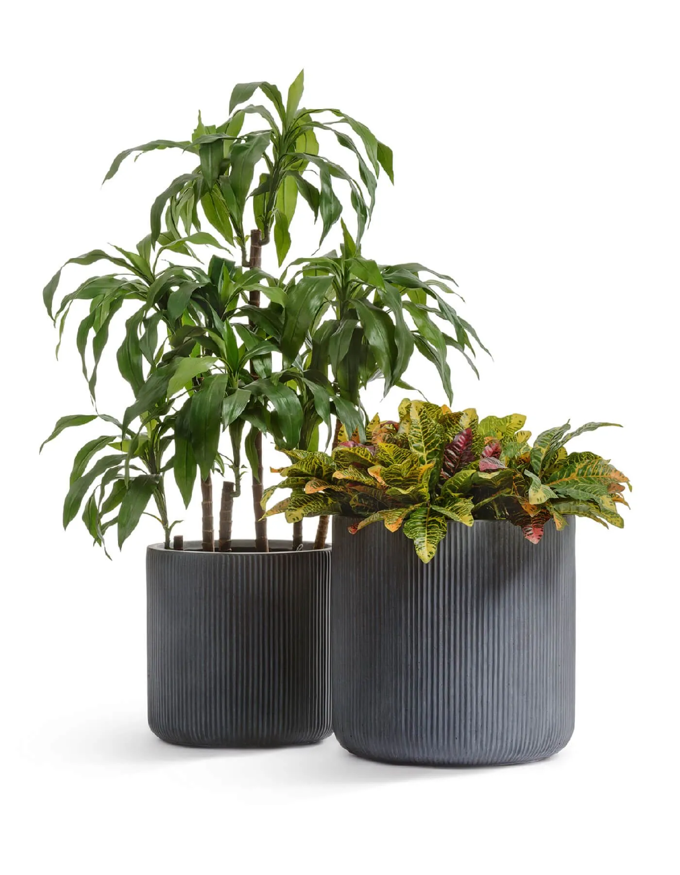 Кашпо Jet - TREEZ ERGO - Дымчато-серый бетон - Цилиндр