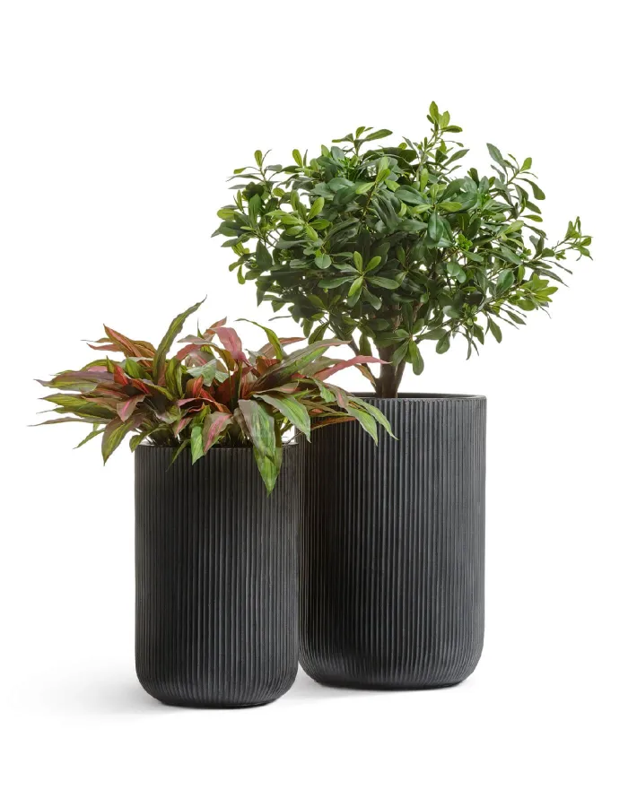 Кашпо Jet -  TREEZ ERGO - Антрацит - Высокий цилиндр