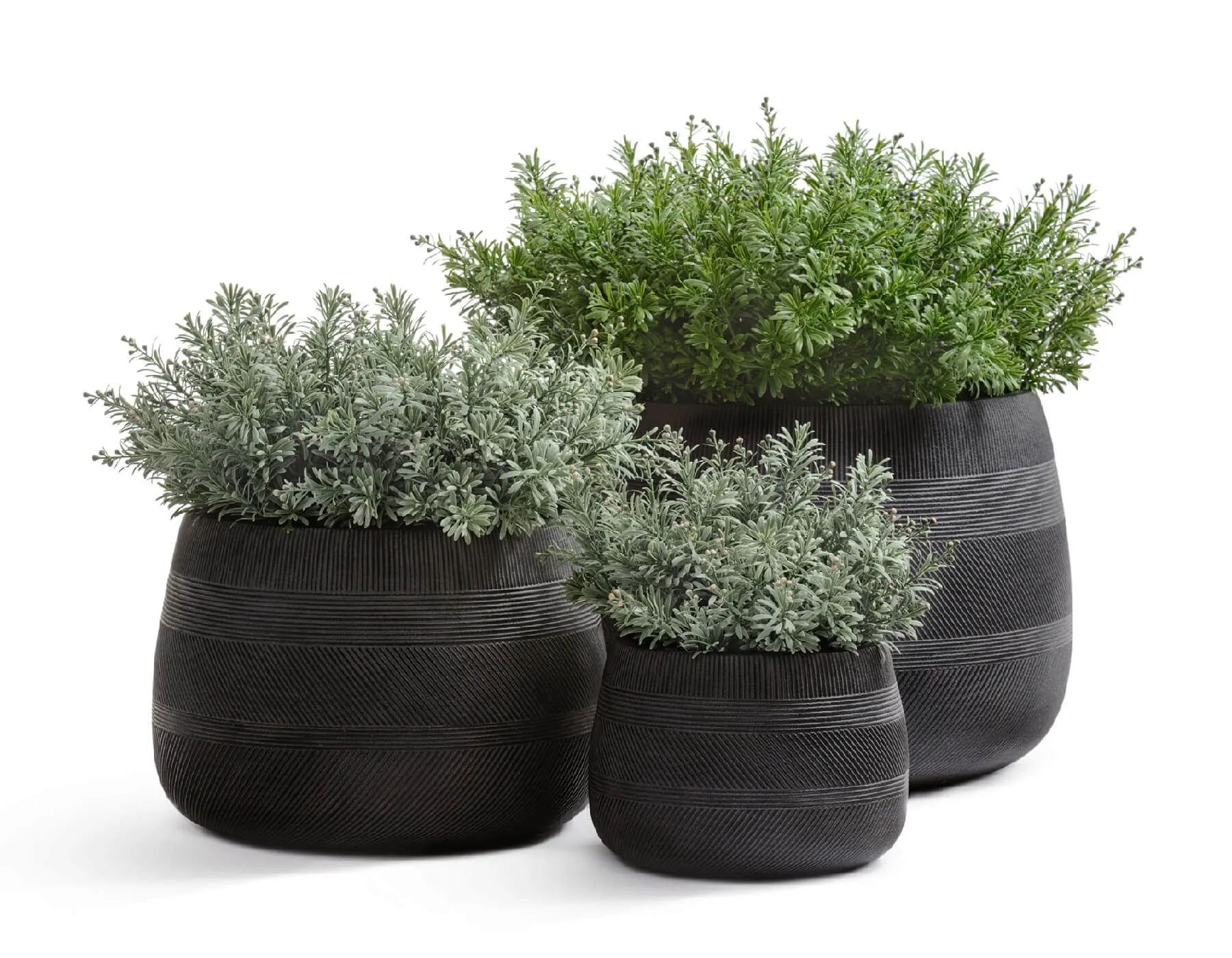 Кашпо Graphics - TREEZ ERGO - Чёрный графит - Низкая чаша