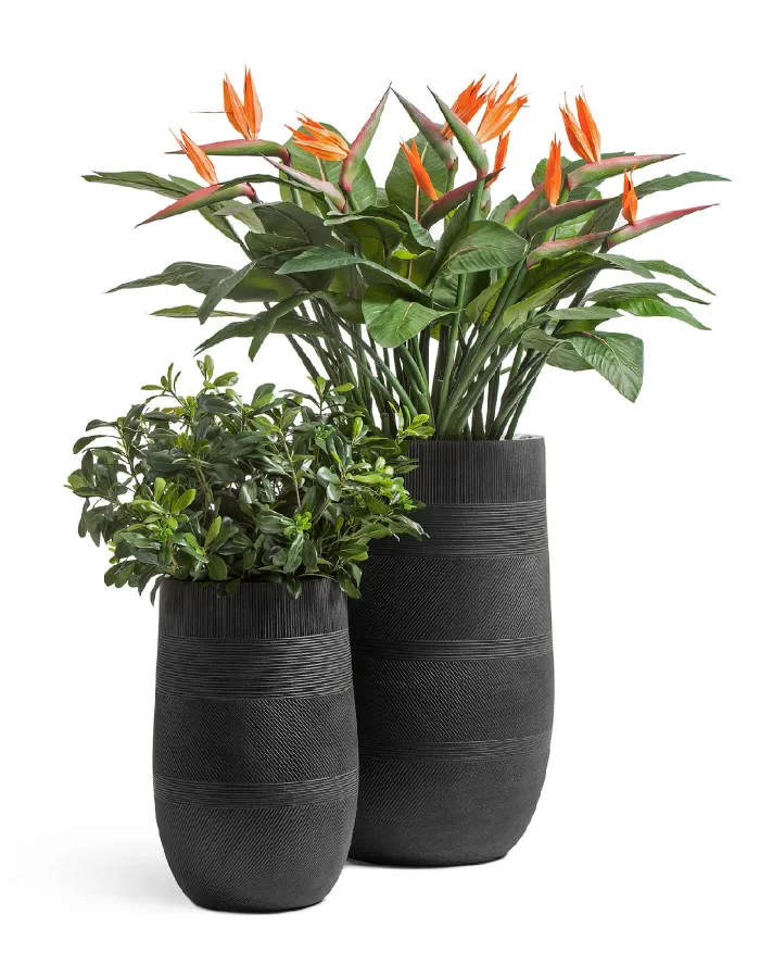 Кашпо Graphics - TREEZ ERGO - Чёрный графит - Высокая округлая чаша