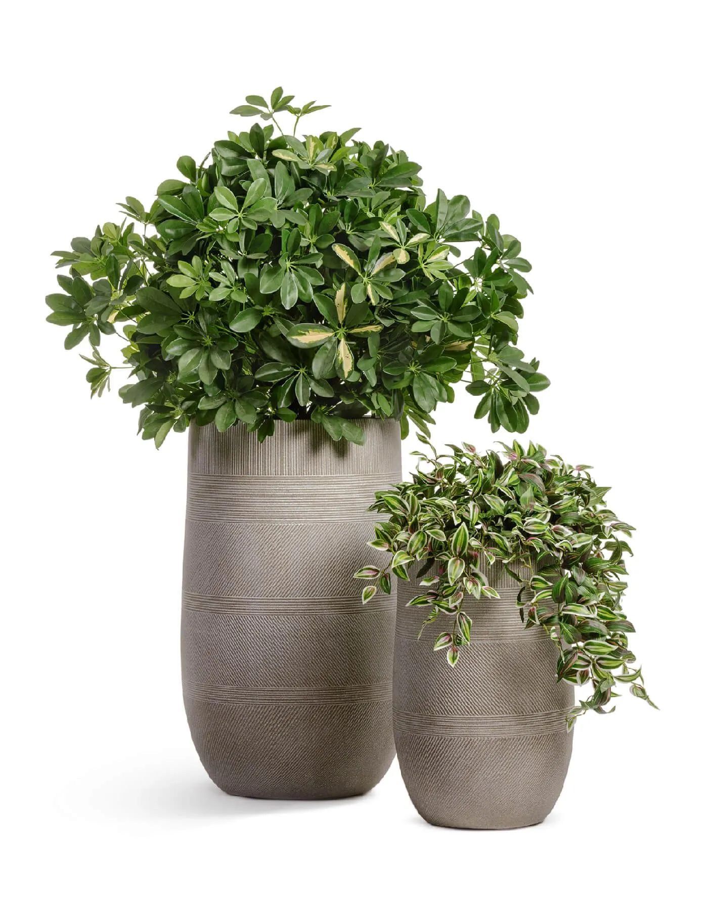 Кашпо Graphics - TREEZ ERGO - Капучино - Высокая округлая чаша