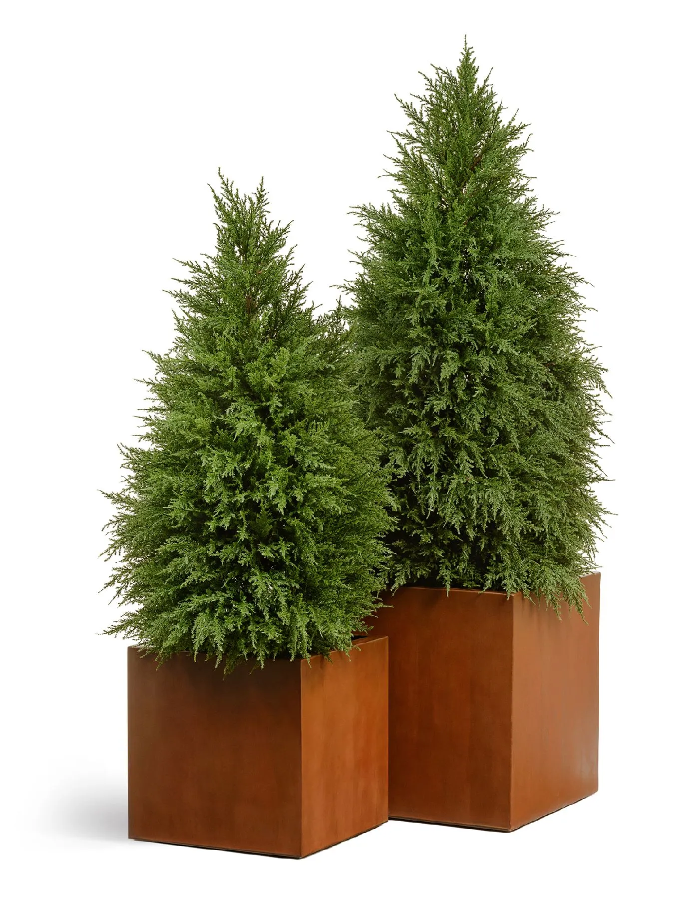 Кашпо - Corten Steel TREEZ Effectory - Кортеновская сталь - Куб - Бархатистая окись