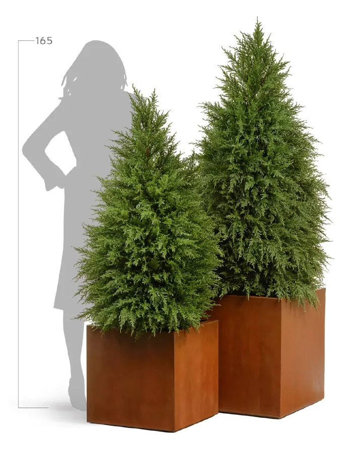 Кашпо - Corten Steel TREEZ Effectory - Кортеновская сталь - Куб - Бархатистая окись