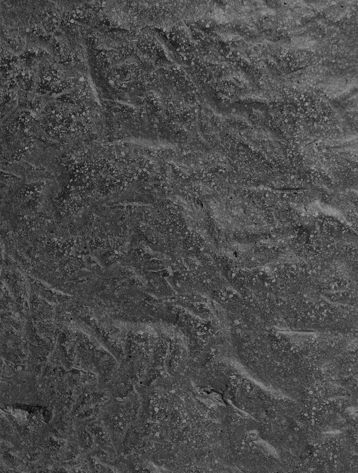 Кашпо Organic - TREEZ Effectory - Тёмно-серый камень -  Низкая чаша