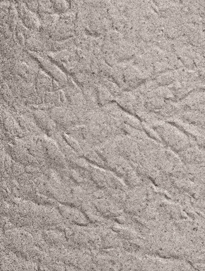 Кашпо Organic - TREEZ Effectory - Высокая чаша - Белый песок