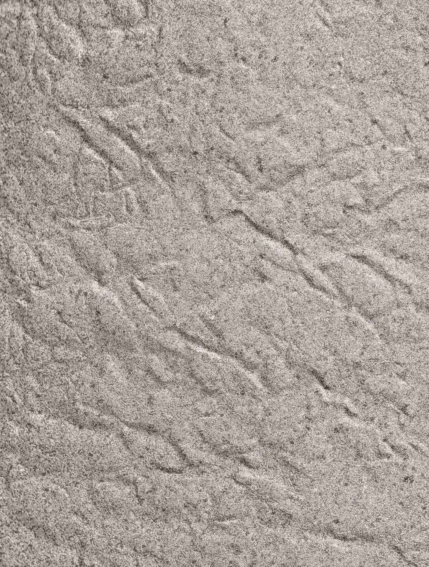 Кашпо Organic - TREEZ Effectory - Высокая чаша - Белый песок