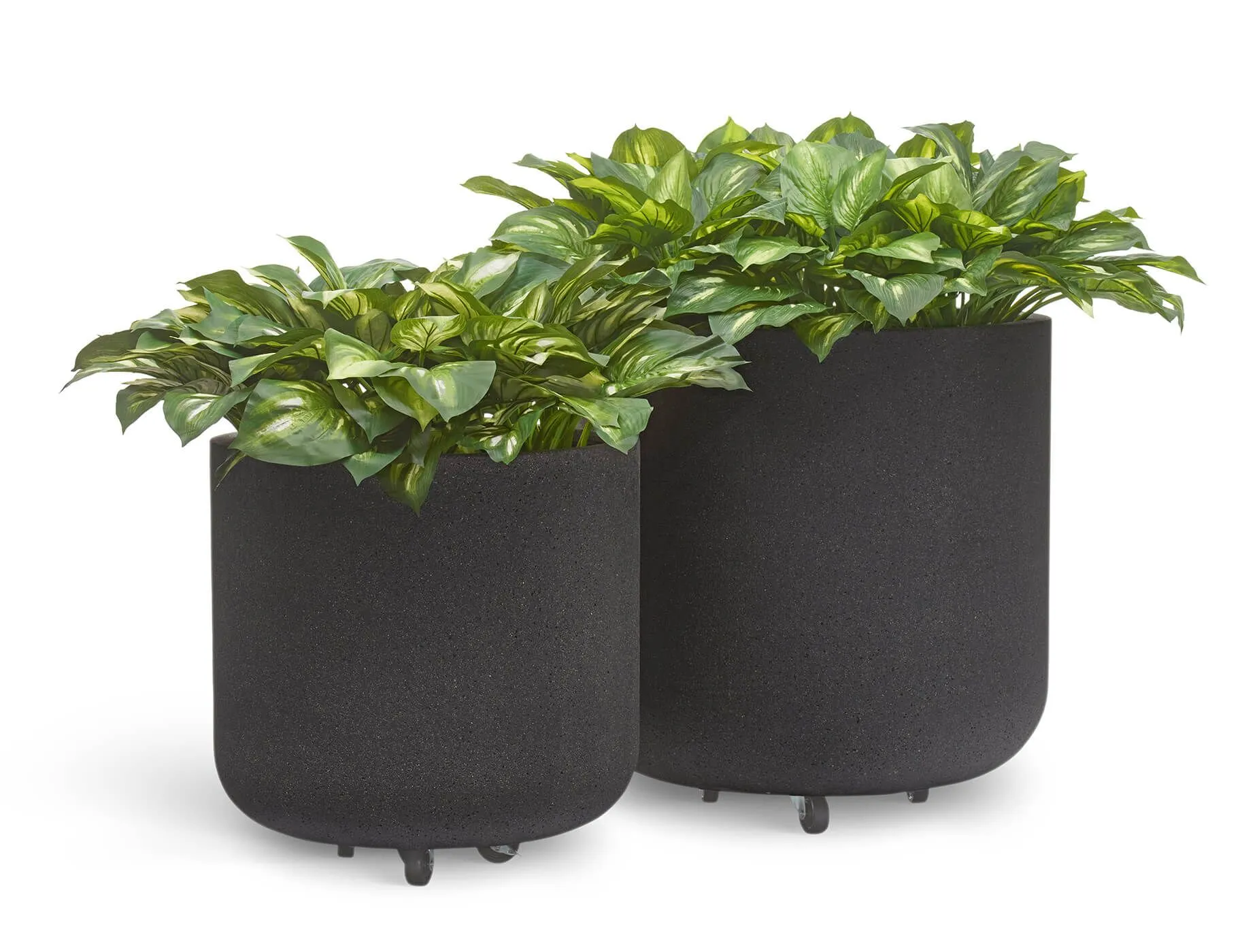 Кашпо Hard Rock - TREEZ ERGO - Чёрный песок - Цилиндрическая чаша на колёсиках