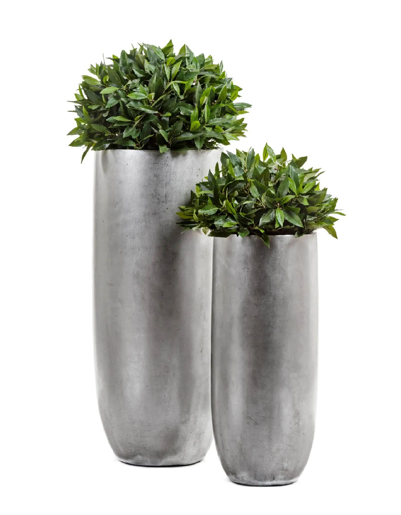 Кашпо Metal - TREEZ Effectory - Серебро -  Высокий округлый конус