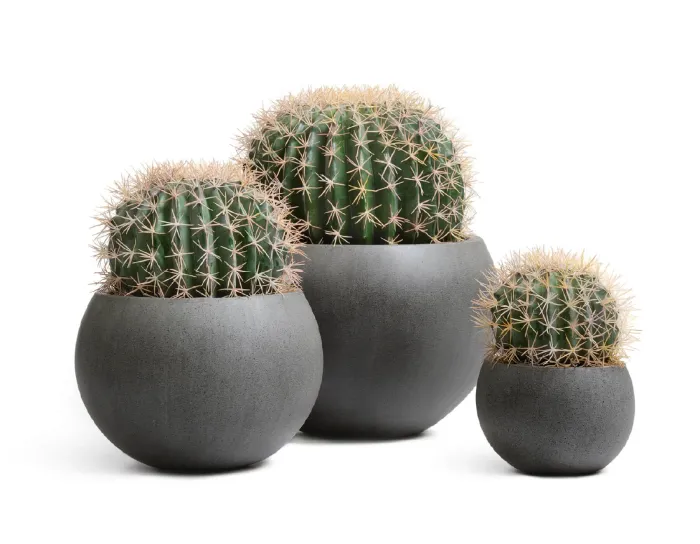 Кашпо Beton - TREEZ Effectory - Тёмно-серый бетон - Полусфера