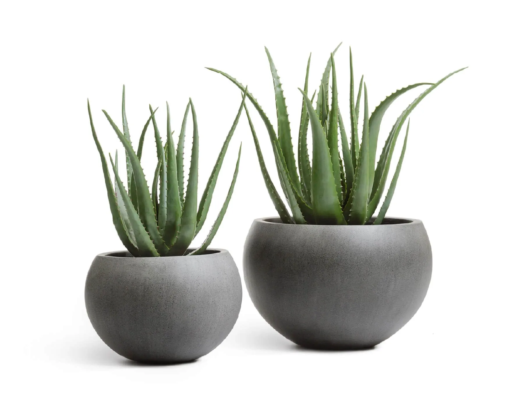 Кашпо Beton - TREEZ Effectory - Тёмно-серый бетон - Полусфера