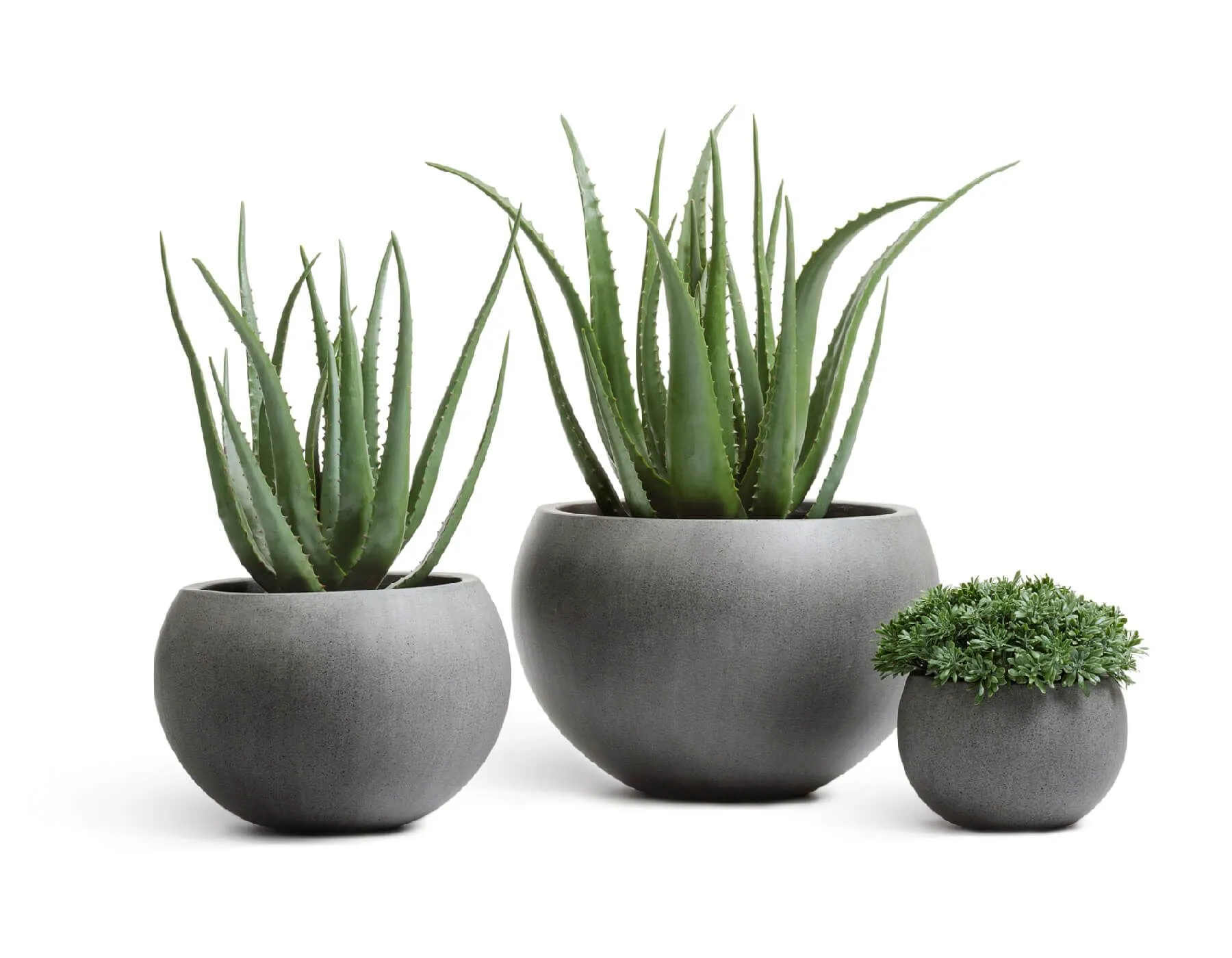 Кашпо Beton - TREEZ Effectory - Тёмно-серый бетон - Полусфера