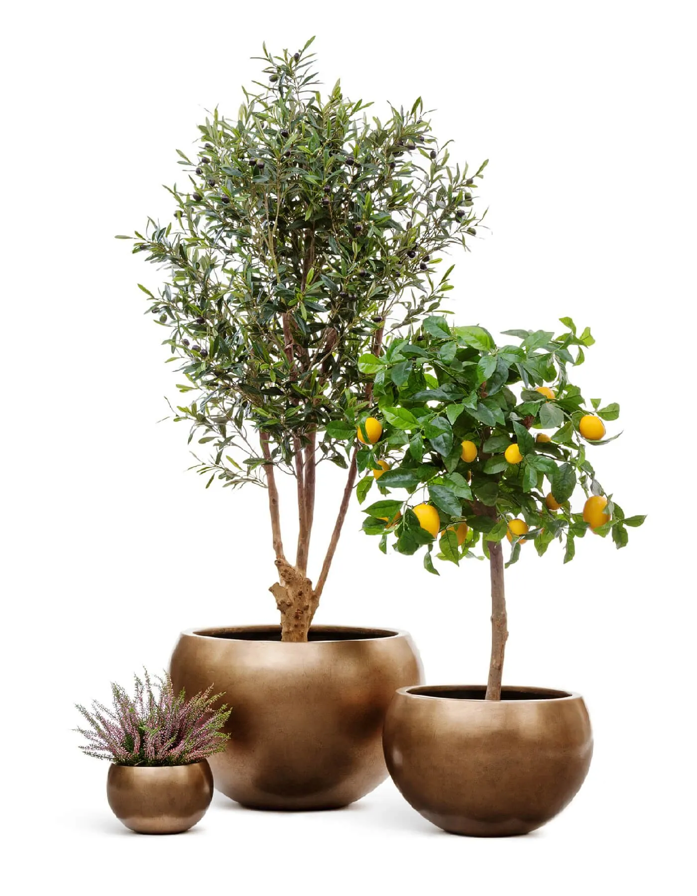 Кашпо Metal - TREEZ Effectory - Тёмное матовое золото - Полусфера