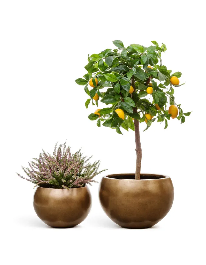 Кашпо Metal - TREEZ Effectory - Тёмное матовое золото - Полусфера