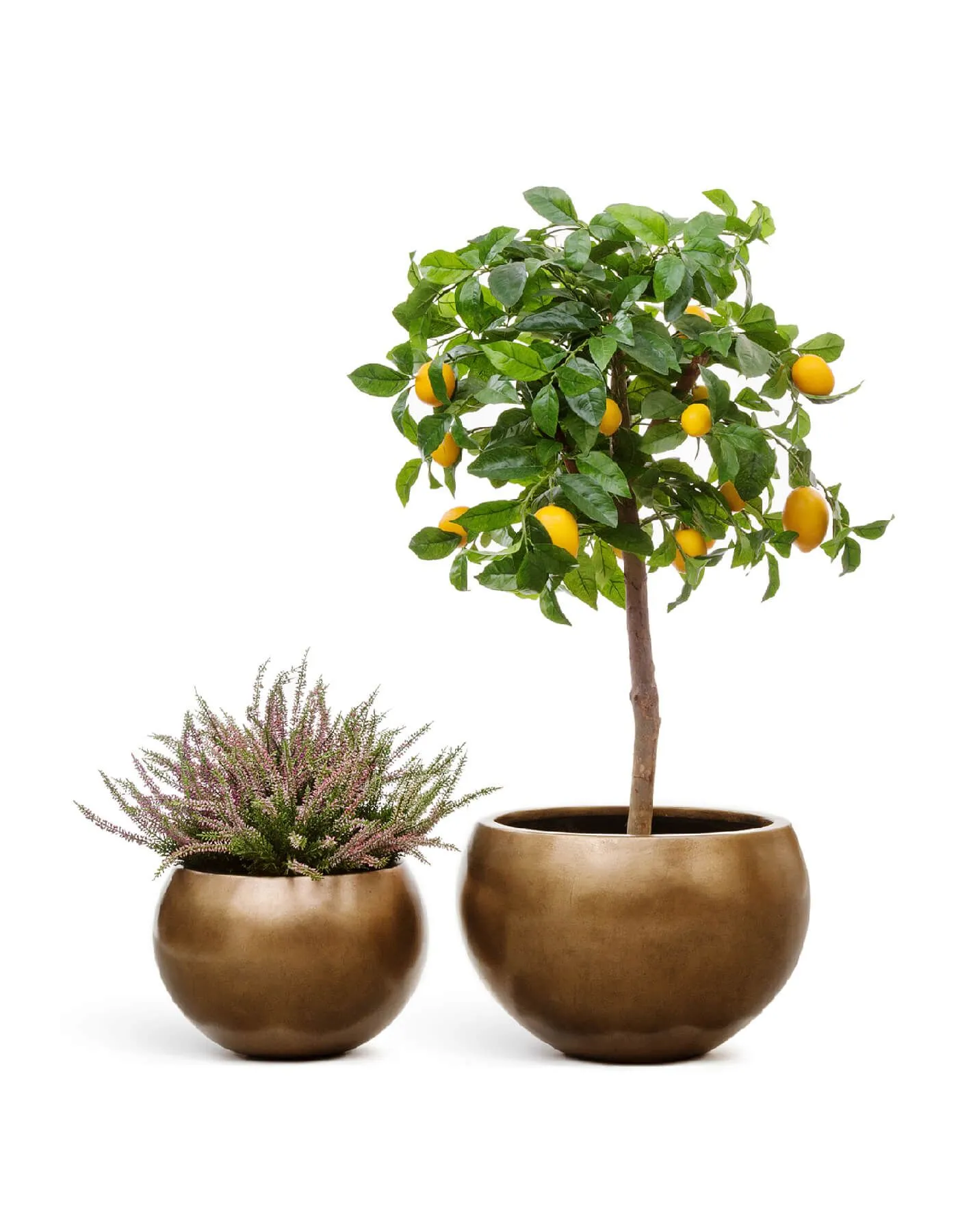 Кашпо Metal - TREEZ Effectory - Тёмное матовое золото - Полусфера