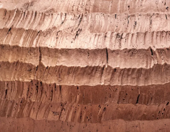 Кашпо Metal - TREEZ Effectory - Розовая медь Чеканка -  Полусфера