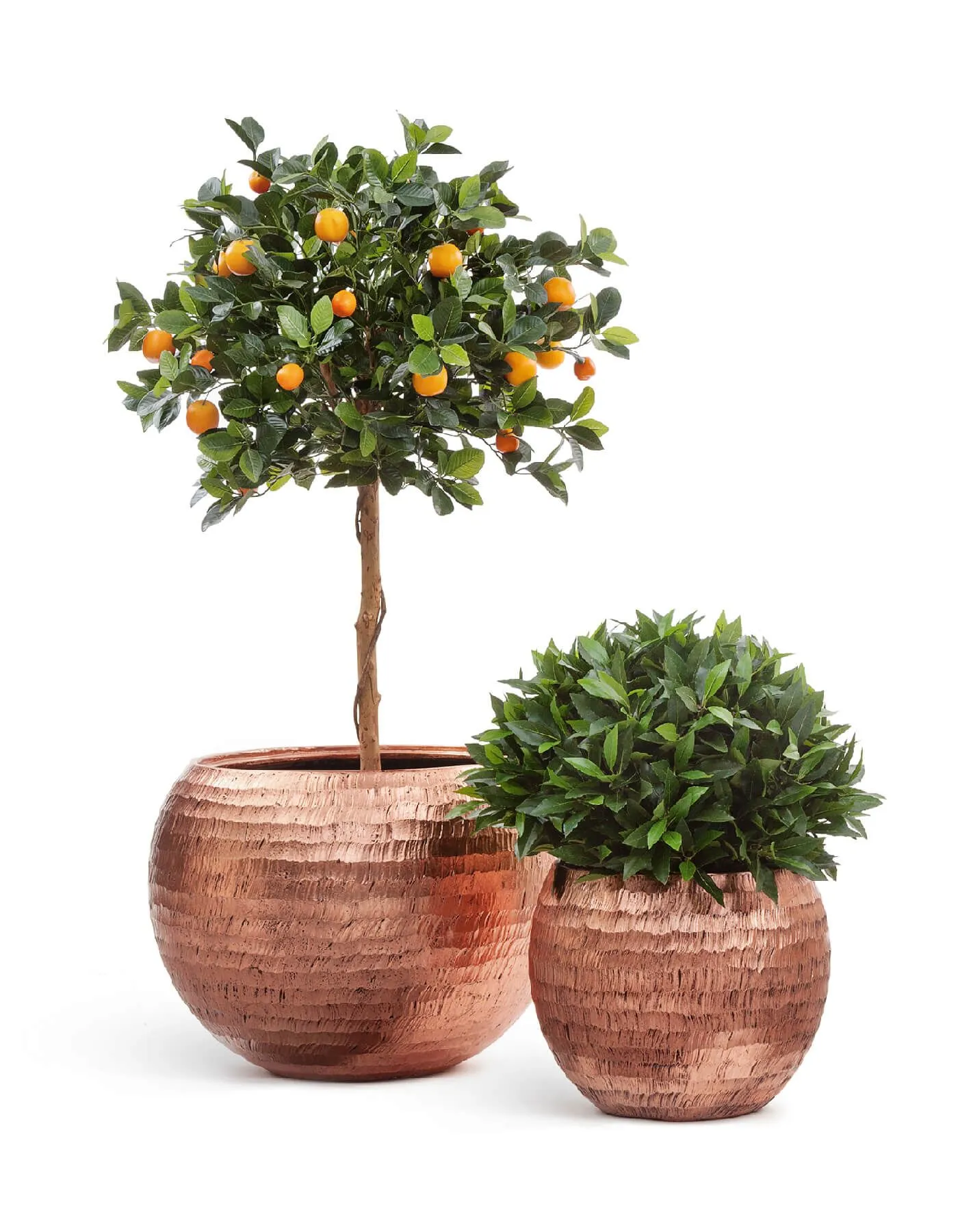 Кашпо Metal - TREEZ Effectory - Розовая медь Чеканка -  Полусфера